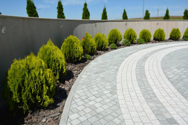 Best Residential Driveway Paver Services  in Monongah, WV